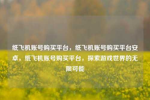 纸飞机账号购买平台，纸飞机账号购买平台安卓，纸飞机账号购买平台，探索游戏世界的无限可能