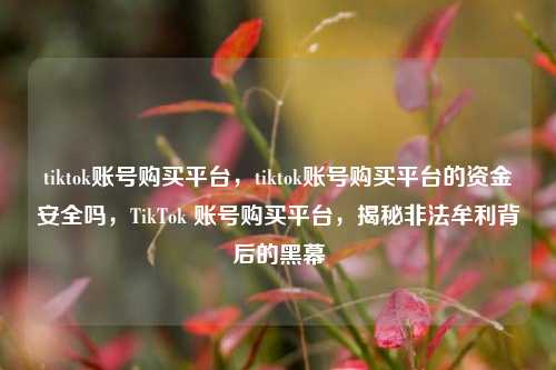 tiktok账号购买平台，tiktok账号购买平台的资金安全吗，TikTok 账号购买平台，揭秘非法牟利背后的黑幕