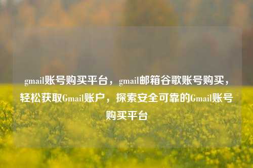 gmail账号购买平台，gmail邮箱谷歌账号购买，轻松获取Gmail账户，探索安全可靠的Gmail账号购买平台