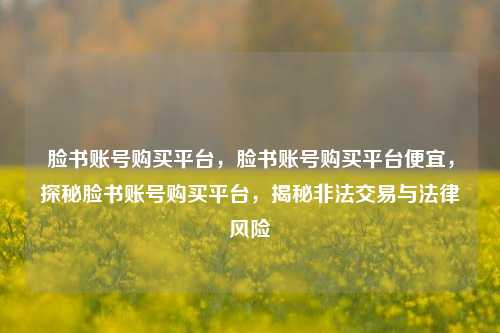 脸书账号购买平台，脸书账号购买平台便宜，探秘脸书账号购买平台，揭秘非法交易与法律风险