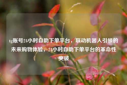tg账号24小时自助下单平台，联动机器人引领的未来购物体验，24小时自助下单平台的革命性突破