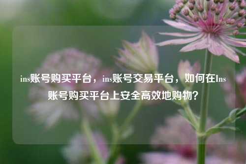 ins账号购买平台，ins账号交易平台，如何在Ins账号购买平台上安全高效地购物？