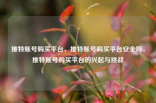 推特账号购买平台，推特账号购买平台安全吗，推特账号购买平台的兴起与挑战