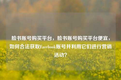 脸书账号购买平台，脸书账号购买平台便宜，如何合法获取Facebook账号并利用它们进行营销活动？
