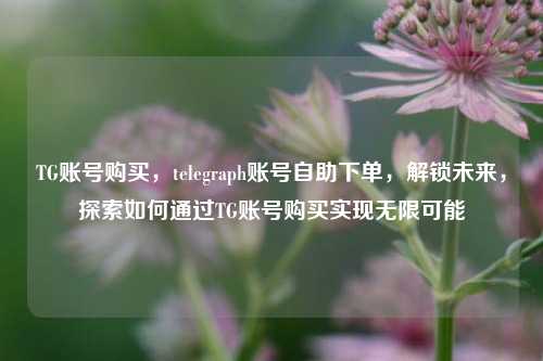 TG账号购买，telegraph账号自助下单，解锁未来，探索如何通过TG账号购买实现无限可能