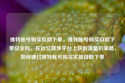 推特账号购买自助下单，推特账号购买自助下单安全吗，在社交媒体平台上获取流量的策略，如何通过推特账号购买实现自助下单