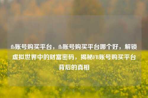 fb账号购买平台，fb账号购买平台哪个好，解锁虚拟世界中的财富密码，揭秘FB账号购买平台背后的真相