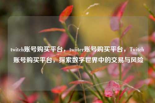 twitch账号购买平台，twiiter账号购买平台，Twitch 账号购买平台，探索数字世界中的交易与风险