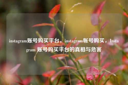 instagram账号购买平台，instagram帐号购买，Instagram 账号购买平台的真相与危害