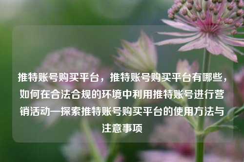 推特账号购买平台，推特账号购买平台有哪些，如何在合法合规的环境中利用推特账号进行营销活动—探索推特账号购买平台的使用方法与注意事项