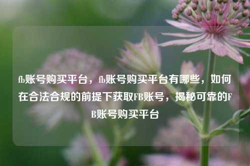 fb账号购买平台，fb账号购买平台有哪些，如何在合法合规的前提下获取FB账号，揭秘可靠的FB账号购买平台