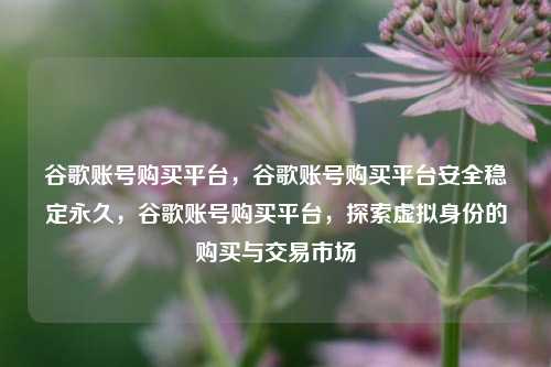 谷歌账号购买平台，谷歌账号购买平台安全稳定永久，谷歌账号购买平台，探索虚拟身份的购买与交易市场