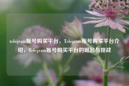 telegram账号购买平台，Telegram账号购买平台介绍，Telegram账号购买平台的崛起与挑战