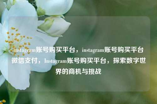 instagram账号购买平台，instagram账号购买平台微信支付，Instagram账号购买平台，探索数字世界的商机与挑战