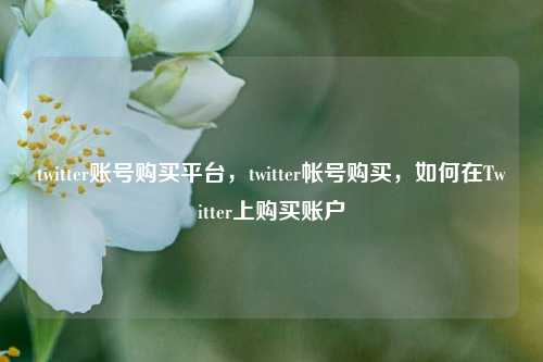 twitter账号购买平台，twitter帐号购买，如何在Twitter上购买账户
