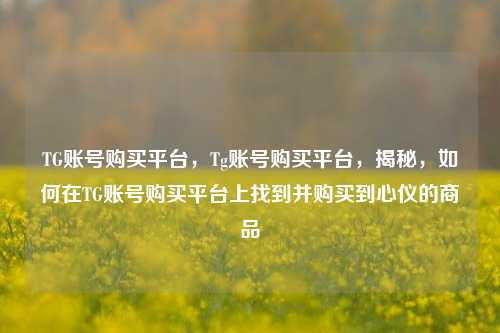 TG账号购买平台，Tg账号购买平台，揭秘，如何在TG账号购买平台上找到并购买到心仪的商品