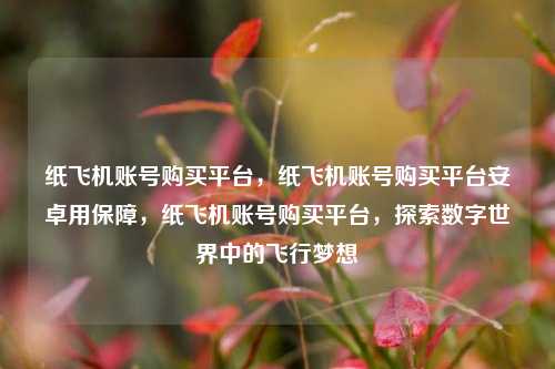 纸飞机账号购买平台，纸飞机账号购买平台安卓用保障，纸飞机账号购买平台，探索数字世界中的飞行梦想