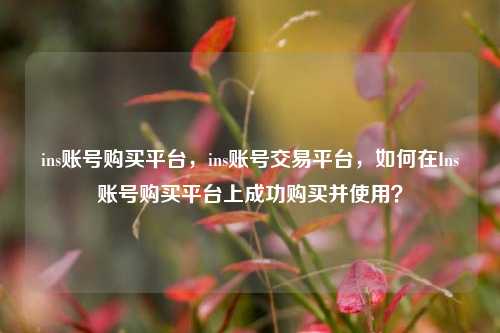 ins账号购买平台，ins账号交易平台，如何在Ins账号购买平台上成功购买并使用？