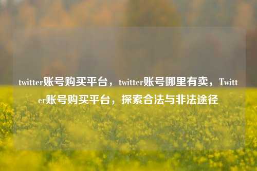 twitter账号购买平台，twitter账号哪里有卖，Twitter账号购买平台，探索合法与非法途径