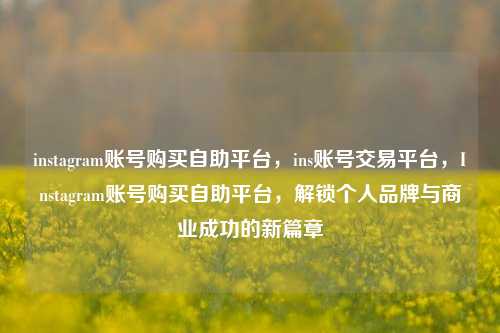 instagram账号购买自助平台，ins账号交易平台，Instagram账号购买自助平台，解锁个人品牌与商业成功的新篇章