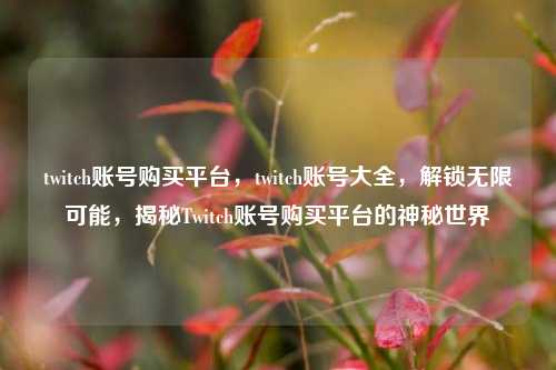 twitch账号购买平台，twitch账号大全，解锁无限可能，揭秘Twitch账号购买平台的神秘世界