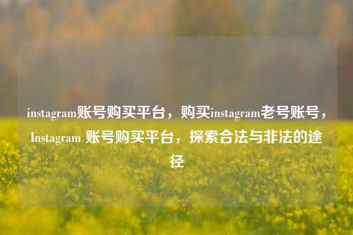 instagram账号购买平台，购买instagram老号账号，Instagram 账号购买平台，探索合法与非法的途径