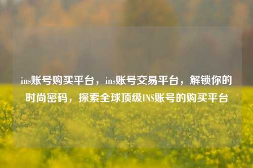ins账号购买平台，ins账号交易平台，解锁你的时尚密码，探索全球顶级INS账号的购买平台