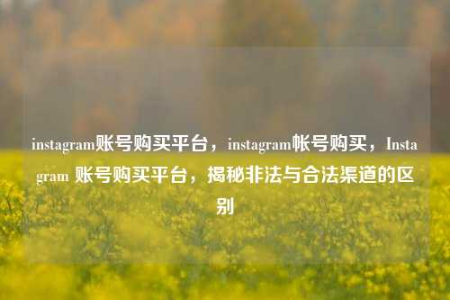 instagram账号购买平台，instagram帐号购买，Instagram 账号购买平台，揭秘非法与合法渠道的区别