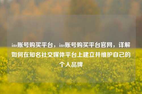 ins账号购买平台，ins账号购买平台官网，详解如何在知名社交媒体平台上建立并维护自己的个人品牌