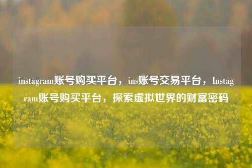 instagram账号购买平台，ins账号交易平台，Instagram账号购买平台，探索虚拟世界的财富密码