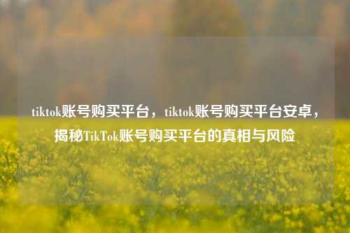 tiktok账号购买平台，tiktok账号购买平台安卓，揭秘TikTok账号购买平台的真相与风险