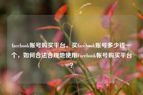 facebook帐号购买平台，买facebook账号多少钱一个，如何合法合规地使用Facebook帐号购买平台？