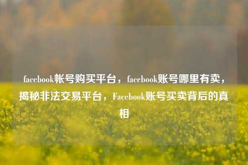 facebook帐号购买平台，facebook账号哪里有卖，揭秘非法交易平台，Facebook账号买卖背后的真相