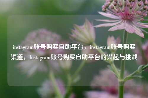 instagram账号购买自助平台，instagram账号购买渠道，Instagram账号购买自助平台的兴起与挑战