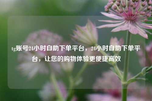tg账号24小时自助下单平台，24小时自助下单平台，让您的购物体验更便捷高效