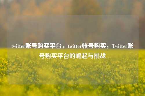twitter账号购买平台，twitter帐号购买	，Twitter账号购买平台的崛起与挑战  第1张