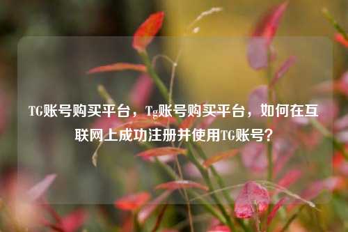 TG账号购买平台，Tg账号购买平台，如何在互联网上成功注册并使用TG账号？