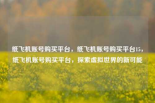 纸飞机账号购买平台，纸飞机账号购买平台15，纸飞机账号购买平台，探索虚拟世界的新可能