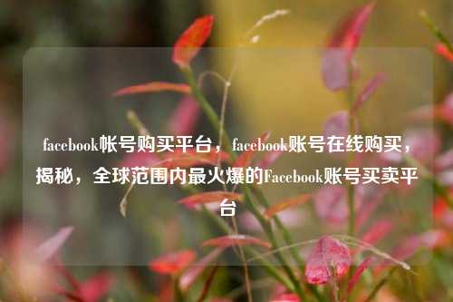 facebook帐号购买平台，facebook账号在线购买，揭秘，全球范围内最火爆的Facebook账号买卖平台