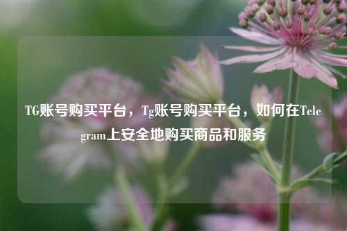 TG账号购买平台，Tg账号购买平台，如何在Telegram上安全地购买商品和服务