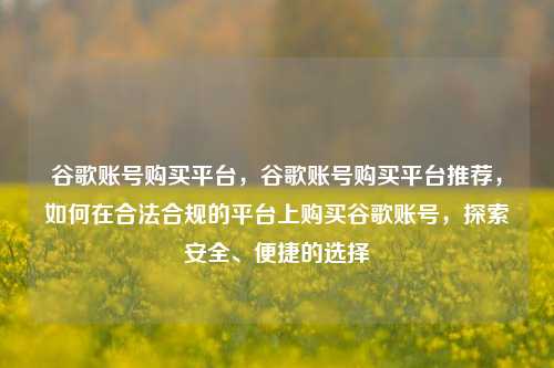 谷歌账号购买平台，谷歌账号购买平台推荐，如何在合法合规的平台上购买谷歌账号	，探索安全、便捷的选择  第1张