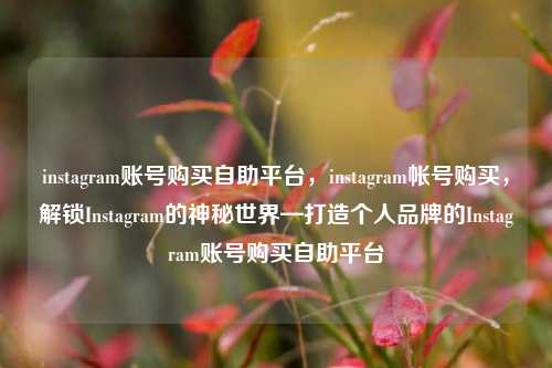 instagram账号购买自助平台，instagram帐号购买，解锁Instagram的神秘世界—打造个人品牌的Instagram账号购买自助平台
