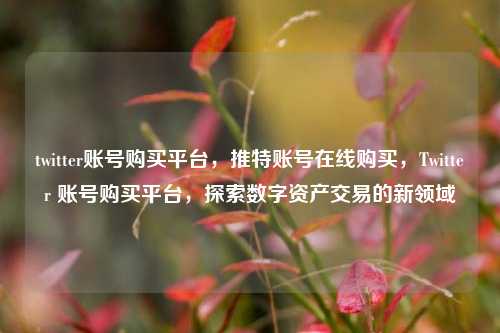 twitter账号购买平台，推特账号在线购买，Twitter 账号购买平台，探索数字资产交易的新领域