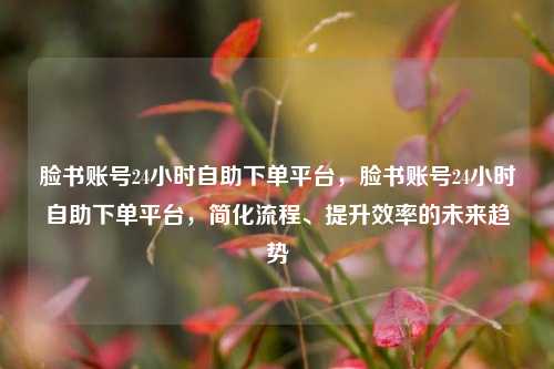脸书账号24小时自助下单平台，脸书账号24小时自助下单平台，简化流程、提升效率的未来趋势