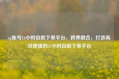 tg账号24小时自助下单平台，跨界融合，打造高效便捷的24小时自助下单平台