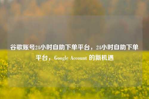 谷歌账号24小时自助下单平台，24小时自助下单平台，Google Account 的新机遇