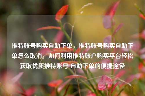 推特账号购买自助下单，推特账号购买自助下单怎么取消，如何利用推特账户购买平台轻松获取优质推特账号 自助下单的便捷途径