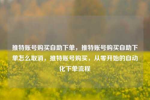 推特账号购买自助下单，推特账号购买自助下单怎么取消，推特账号购买，从零开始的自动化下单流程