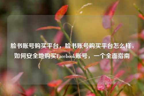 脸书账号购买平台，脸书账号购买平台怎么样，如何安全地购买Facebook账号，一个全面指南