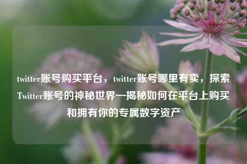 twitter账号购买平台，twitter账号哪里有卖，探索Twitter账号的神秘世界—揭秘如何在平台上购买和拥有你的专属数字资产